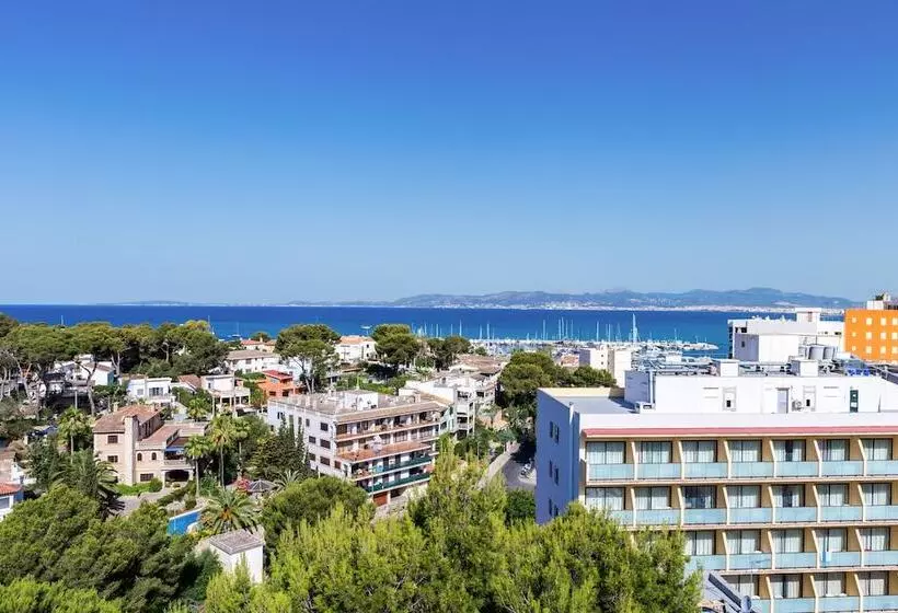 Fotos del hotel Js Paradise Beach Music  Adults Only:  16