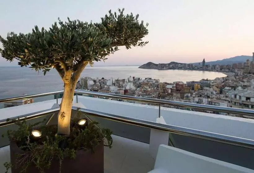 Fotos del hotel Madeira Centro:  6