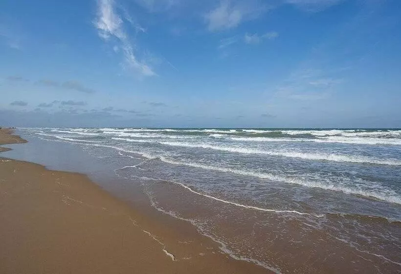 Fotos del hotel Playas De Guardamar:  216