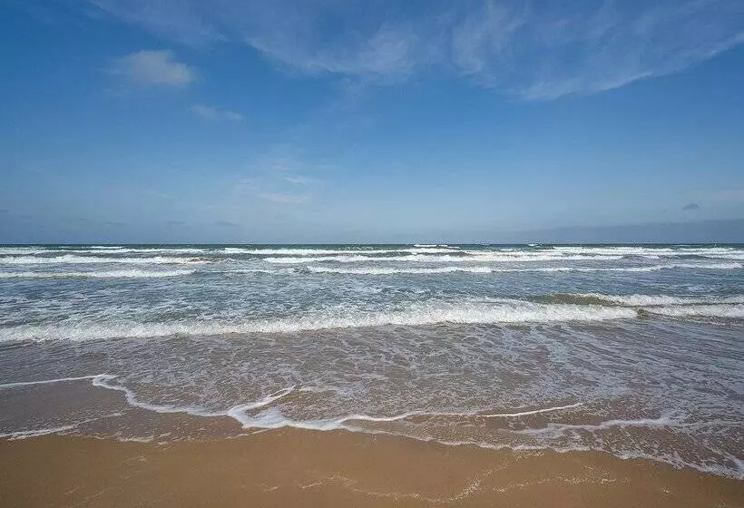 Fotos del hotel Playas De Guardamar:  210