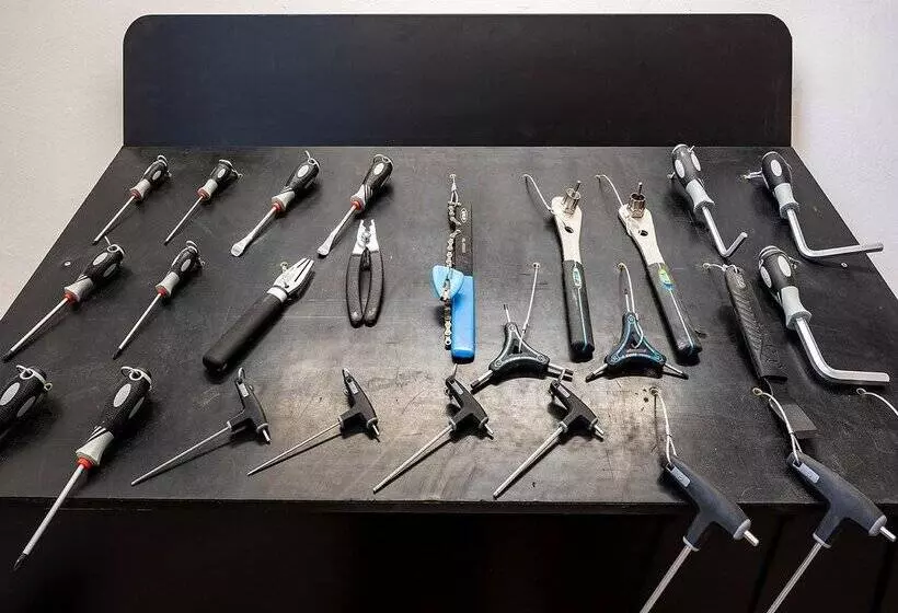 Fotos del hotel Playas De Guardamar:  100