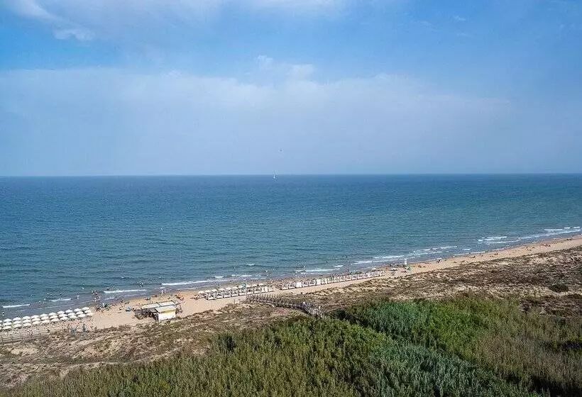 Fotos del hotel Playas De Guardamar:  107