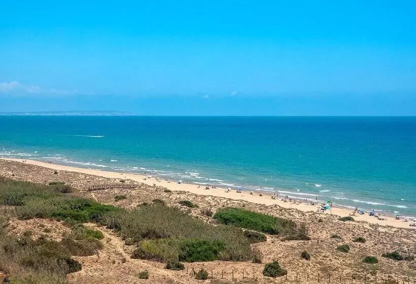 Fotos del hotel Playas De Guardamar:  110