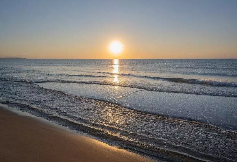 Fotos del hotel Playas De Guardamar:  212