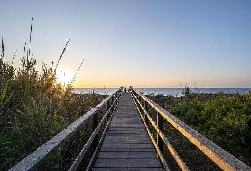 Fotos del hotel Playas De Guardamar:  213