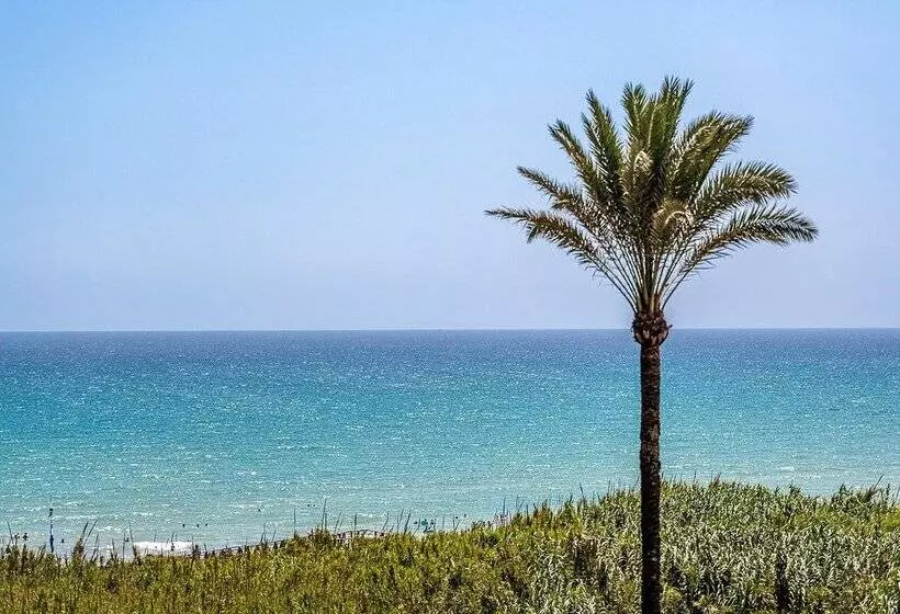 Fotos del hotel Playas De Guardamar:  117