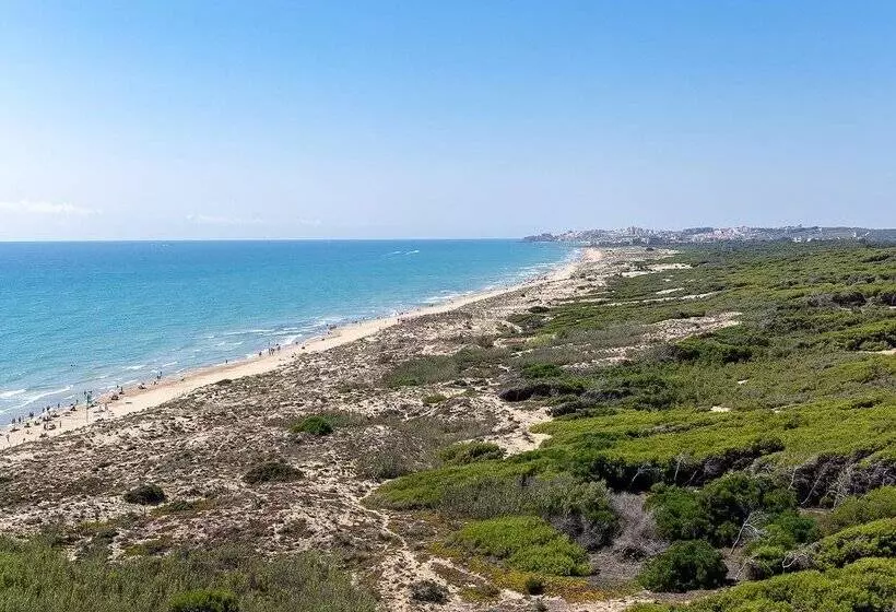 Fotos del hotel Playas De Guardamar:  108