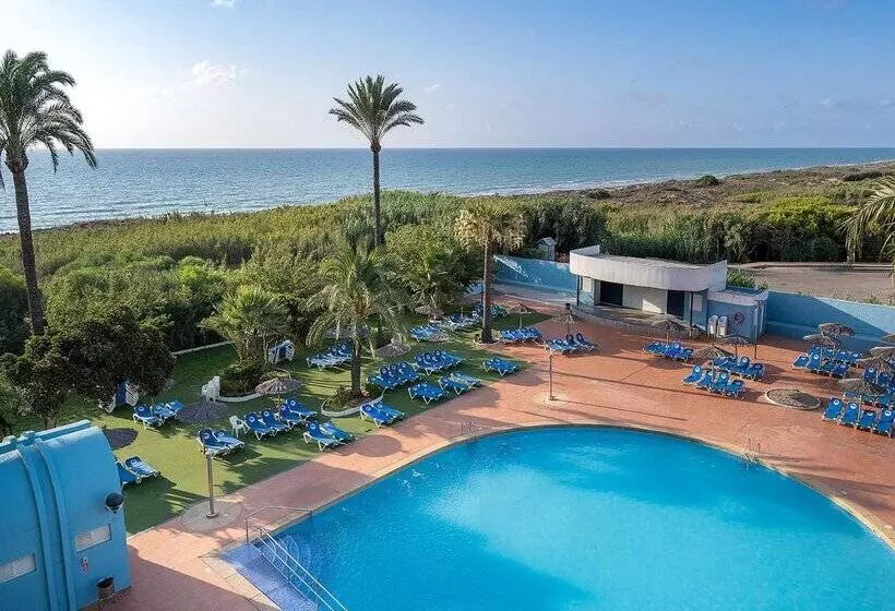 Fotos del hotel Playas De Guardamar:  201