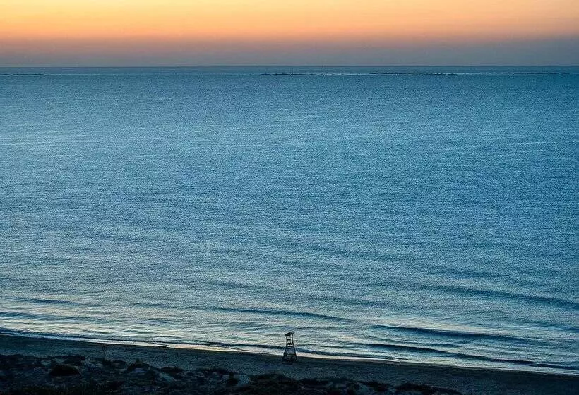 Fotos del hotel Playas De Guardamar:  203