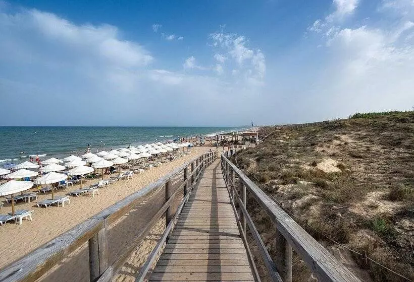 Fotos del hotel Playas De Guardamar:  112