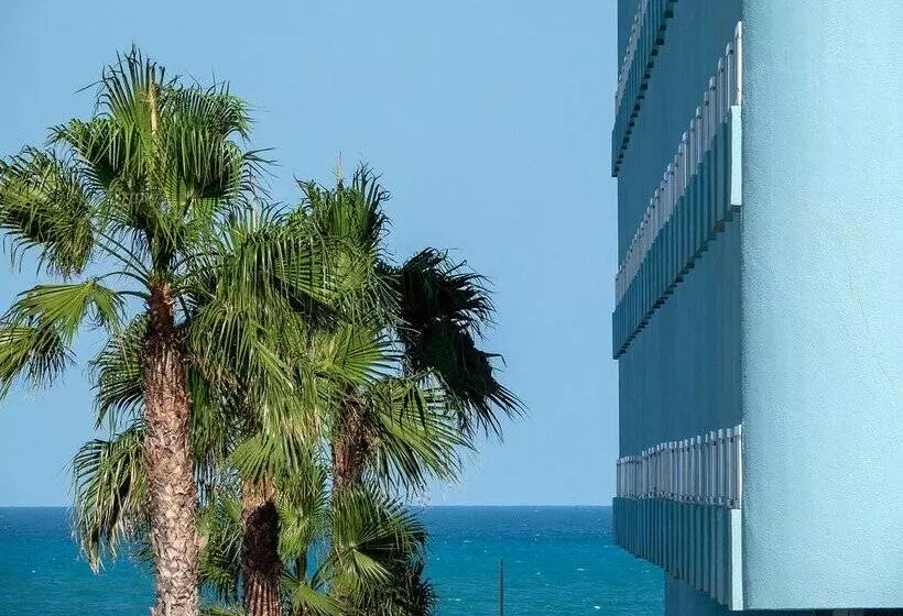 Fotos del hotel Playas De Guardamar:  202