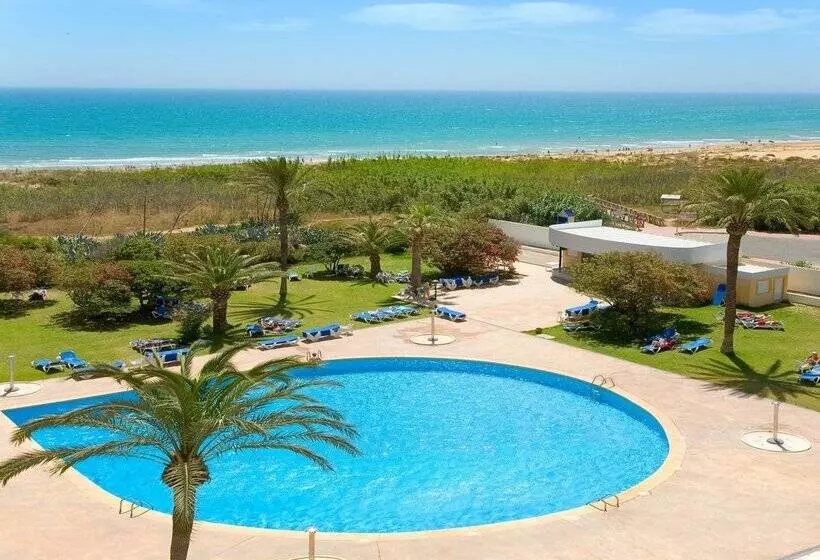 Fotos del hotel Playas De Guardamar:  205