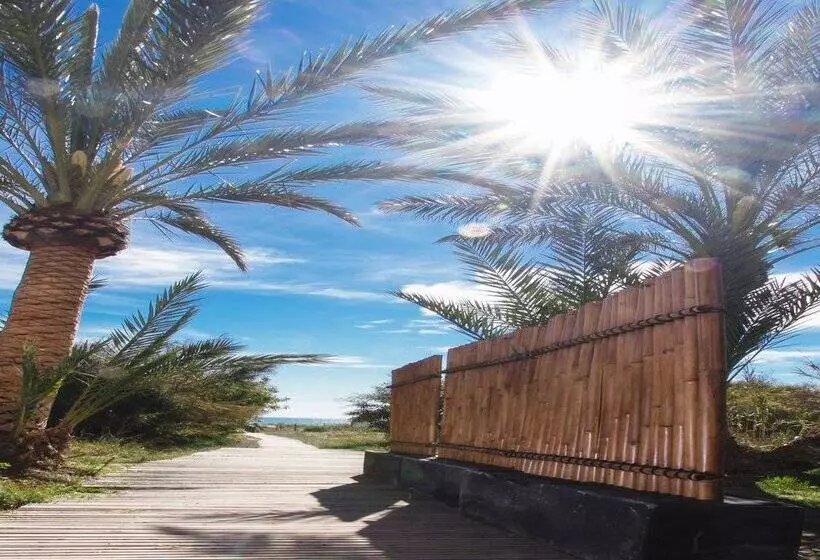 Fotos del hotel Playas De Guardamar:  215