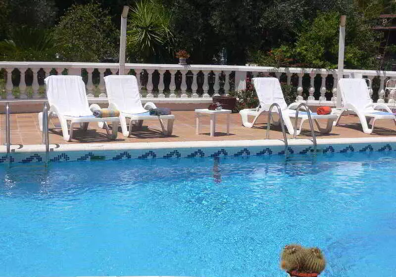 Fotos del hotel Zeus:  13