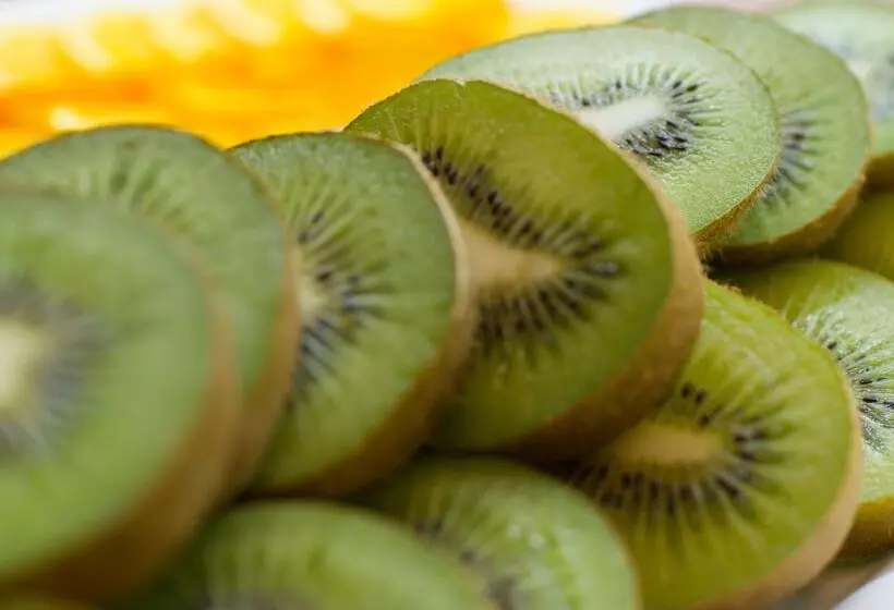 Fotos del hotel Alegria Mar Mediterrania  Adults Only 4sup:  75