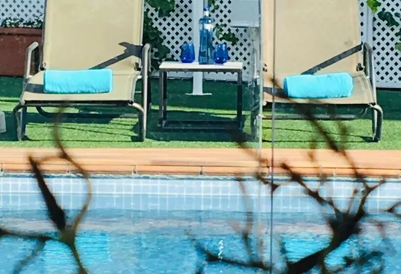 Fotos del hotel Best Western Hotel Mediterraneo:  13