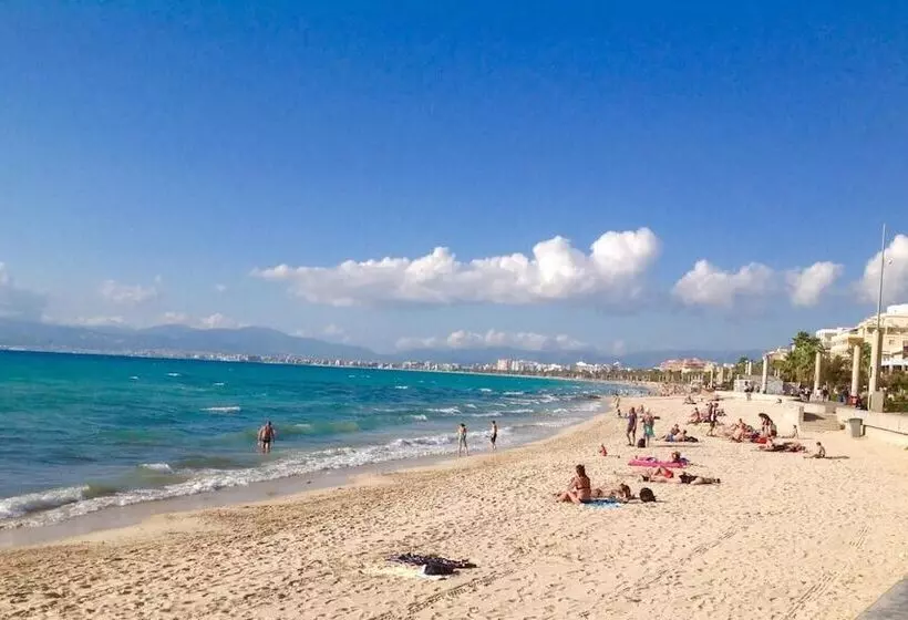 Fotos del hotel Iris:  17