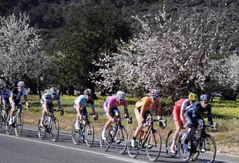 Fotos del hotel Oleander:  7