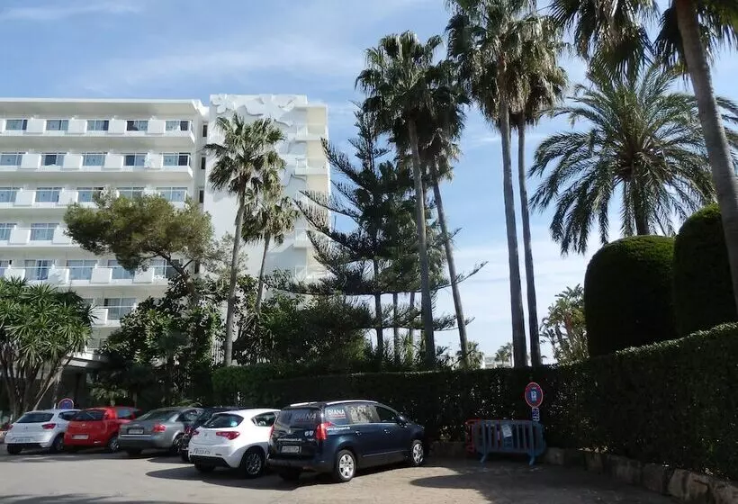 Fotos del hotel Oleander:  24