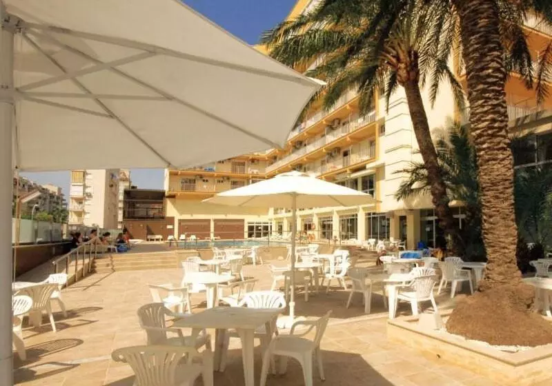 Fotos del hotel Safari:  7