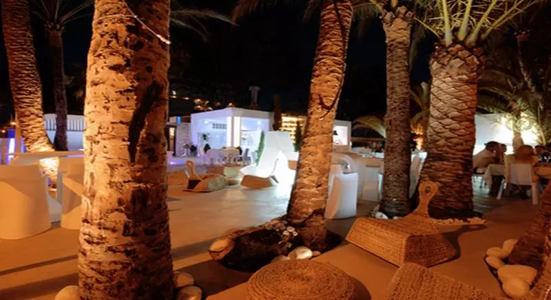 Fotos del hotel Safari:  5