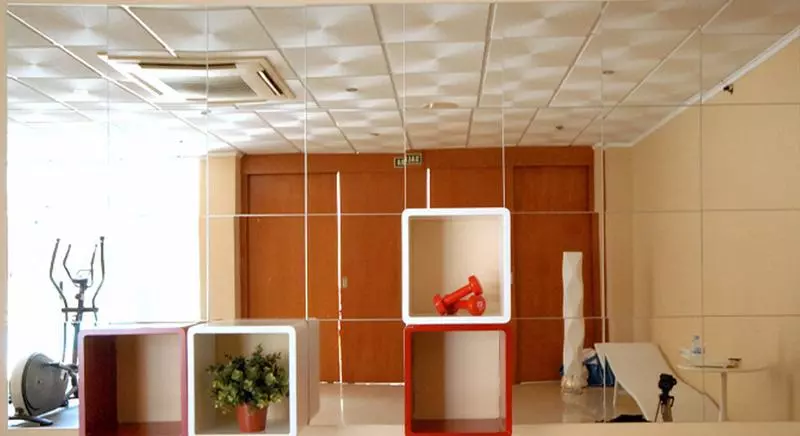 Fotos del hotel Safari:  11