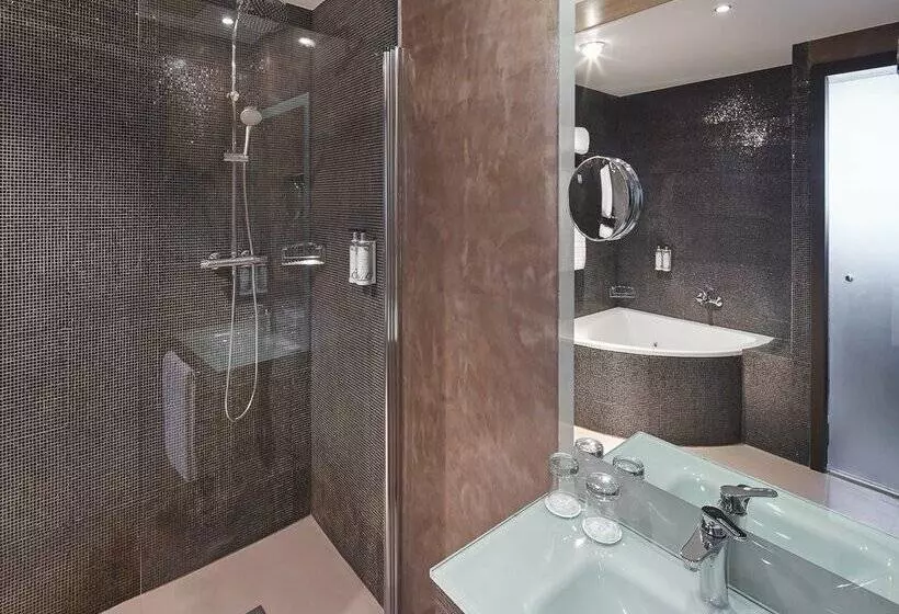 Fotos del hotel Sercotel Gran Hotel Luna De Granada:  6