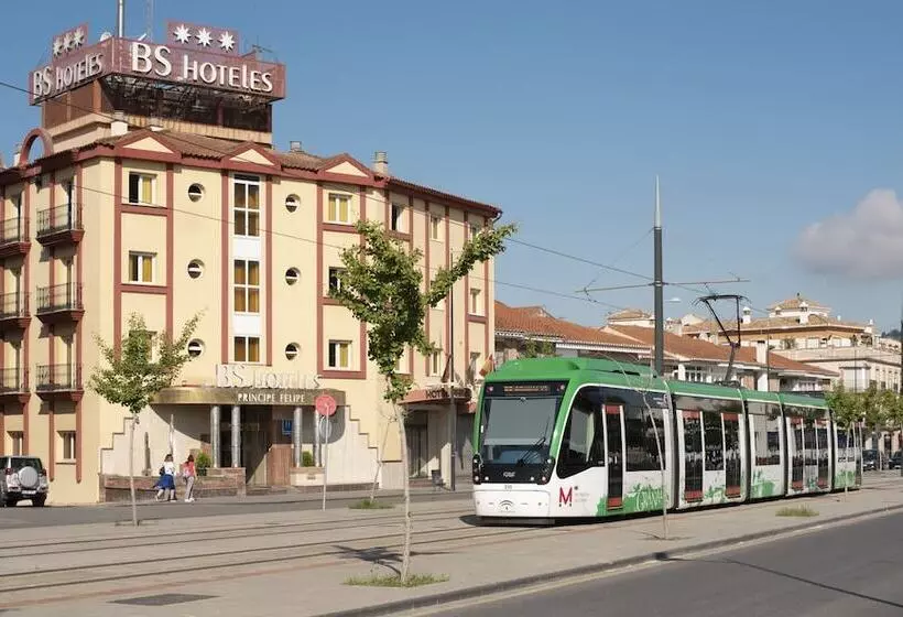 Fotos del hotel Bs Principe Felipe:  6