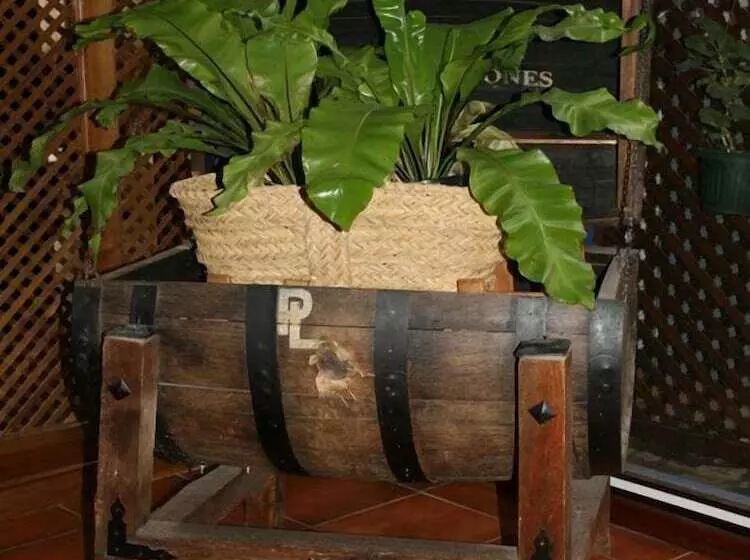 Fotos del hotel El Hidalgo:  16