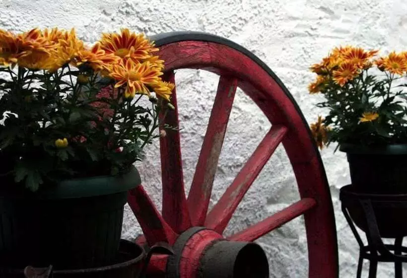 Fotos del hotel El Hidalgo:  10