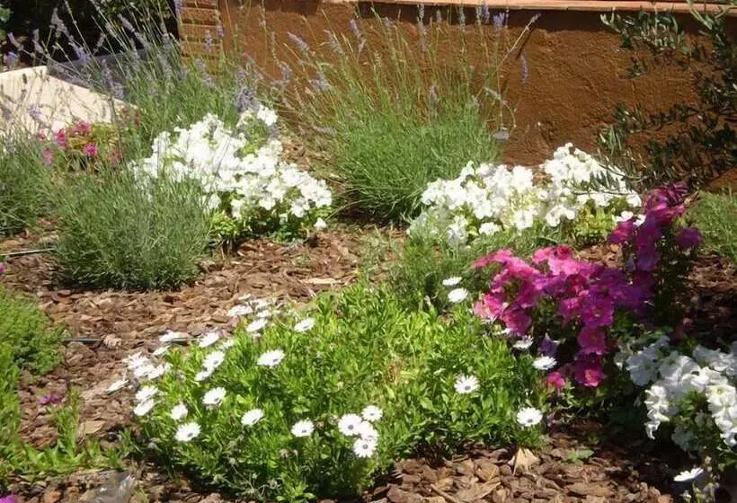 Fotos del hotel El Hidalgo:  19