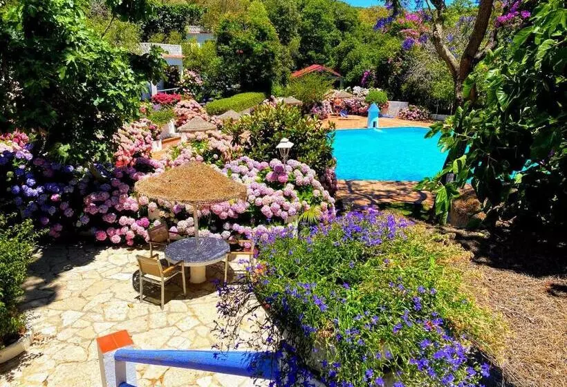 Fotos del hotel Mesón De Sancho:  24