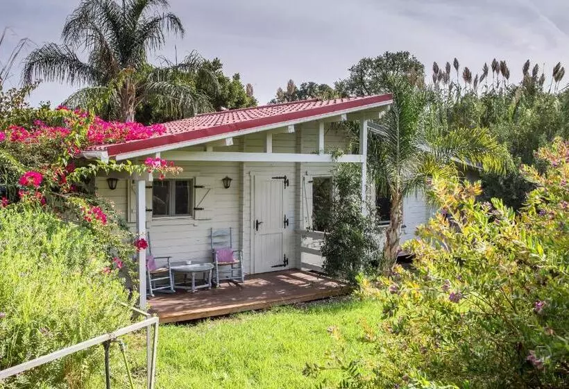 Fotos del hotel Mesón De Sancho:  7