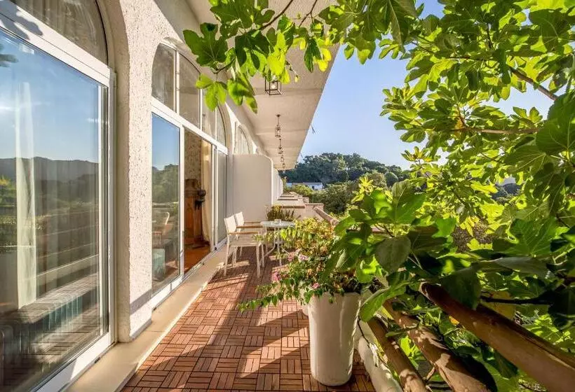 Fotos del hotel Mesón De Sancho:  6