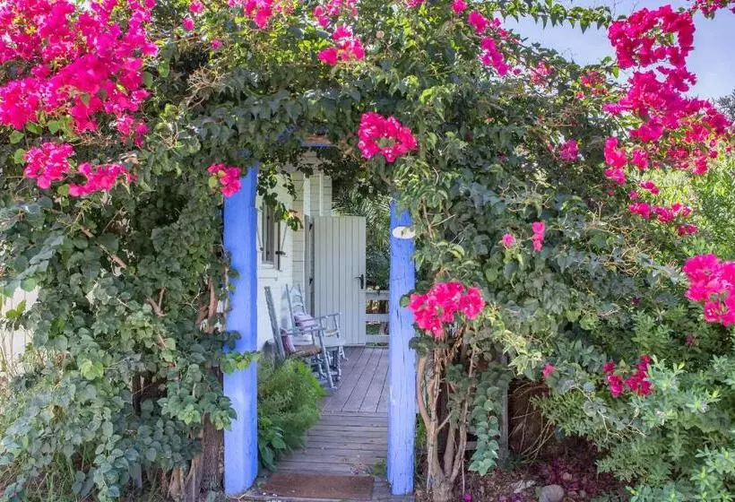 Fotos del hotel Mesón De Sancho:  20