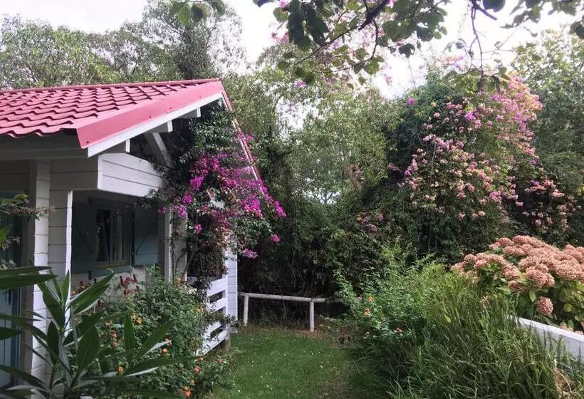 Fotos del hotel Mesón De Sancho:  25