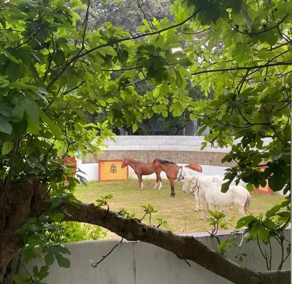 Fotos del hotel Mesón De Sancho:  13