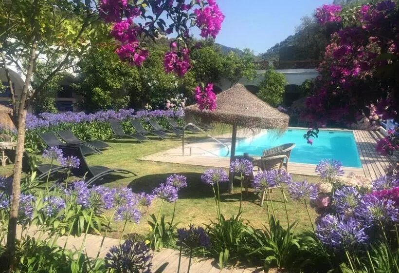 Fotos del hotel Mesón De Sancho:  15