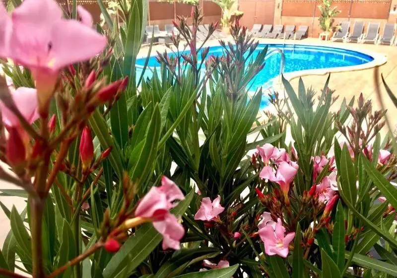 Fotos del hotel Stella Maris:  23