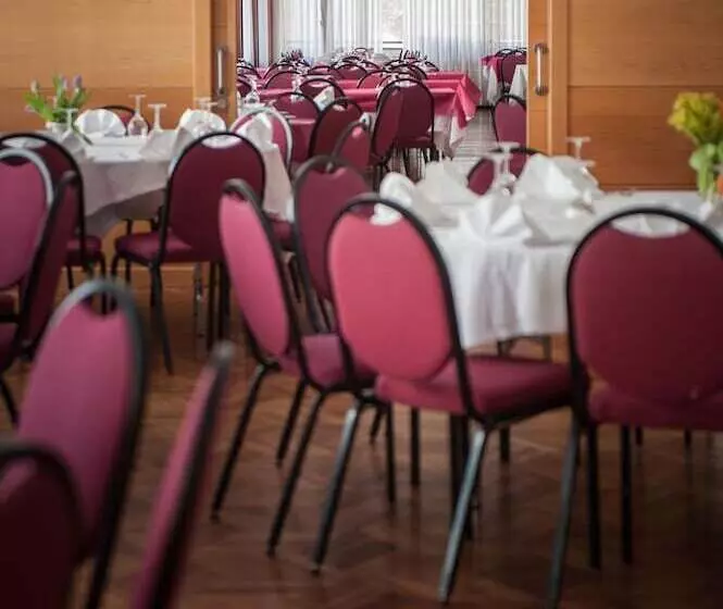 Fotos del hotel Unzaga Plaza:  18