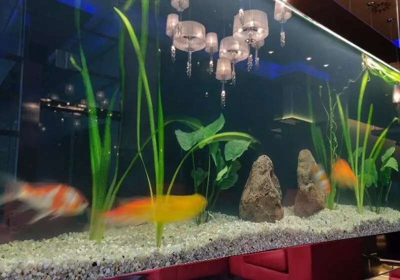 Fotos del hotel Agua De Mar  Boutique:  15