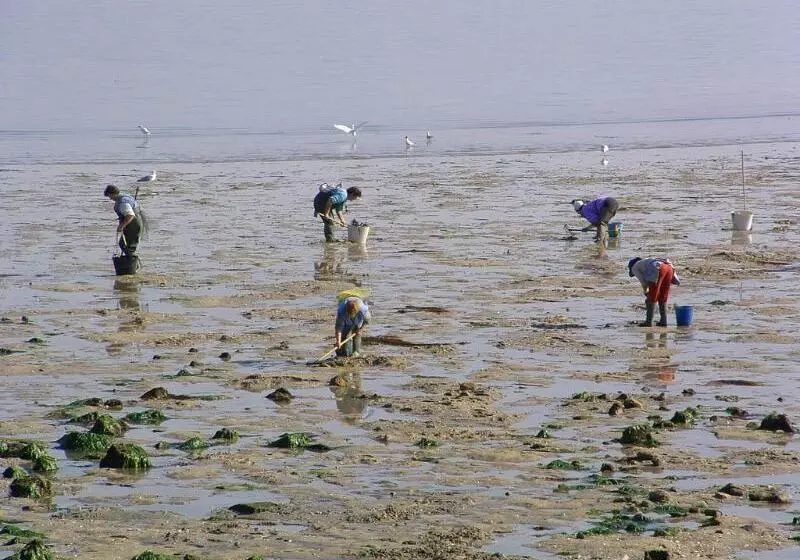 Fotos del hotel Puente De La Toja:  8