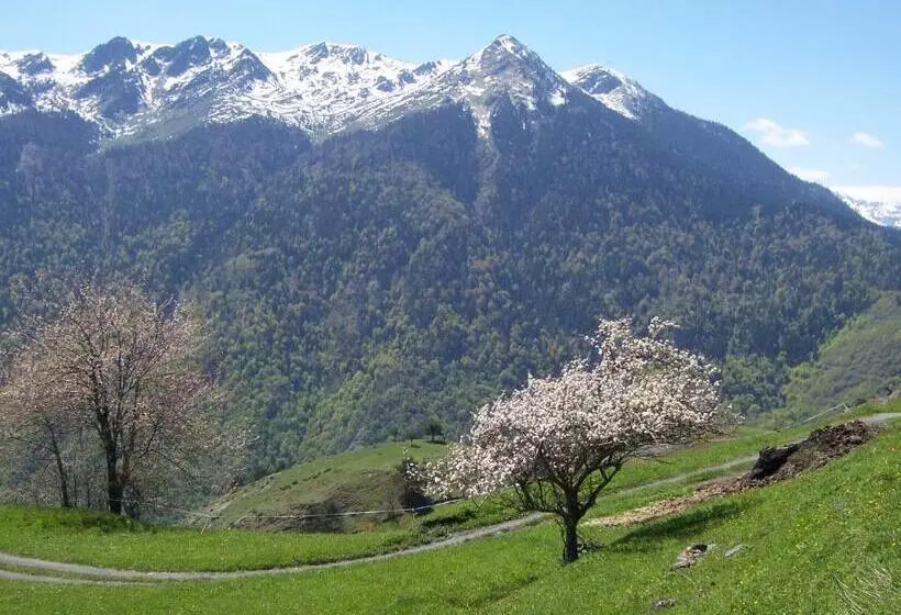 Fotos del hotel Tuc Blanc:  11