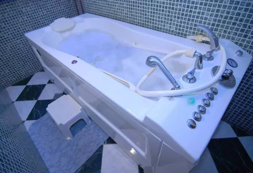 Fotos del hotel Colón Spa:  8
