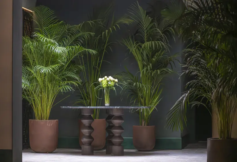 Fotos del hotel Fuerte Marbella:  35