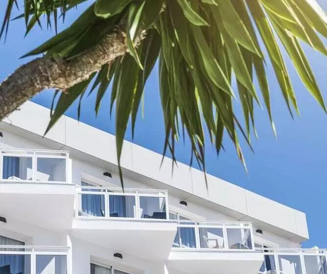 Fotos del hotel Essence  Boutique By Don Paquito:  19