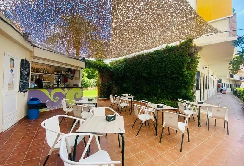 Fotos del hotel Los Jazmines:  7