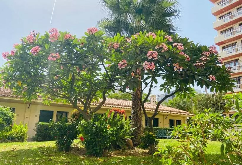 Fotos del hotel Los Jazmines:  21