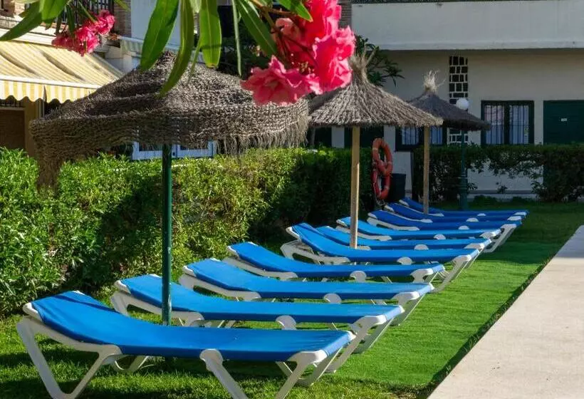 Fotos del hotel Los Jazmines:  13