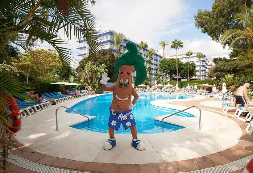 Fotos del hotel Palmasol:  17